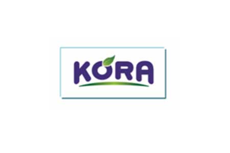 Kora - Idea