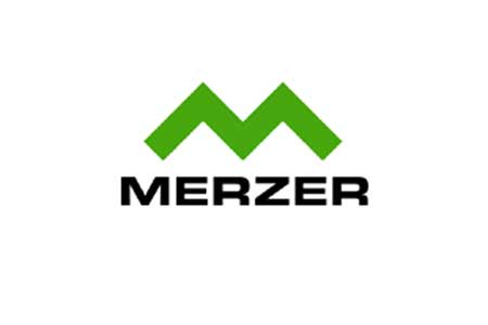 Merzer - Idea